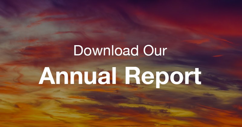 Download Our Annual Report