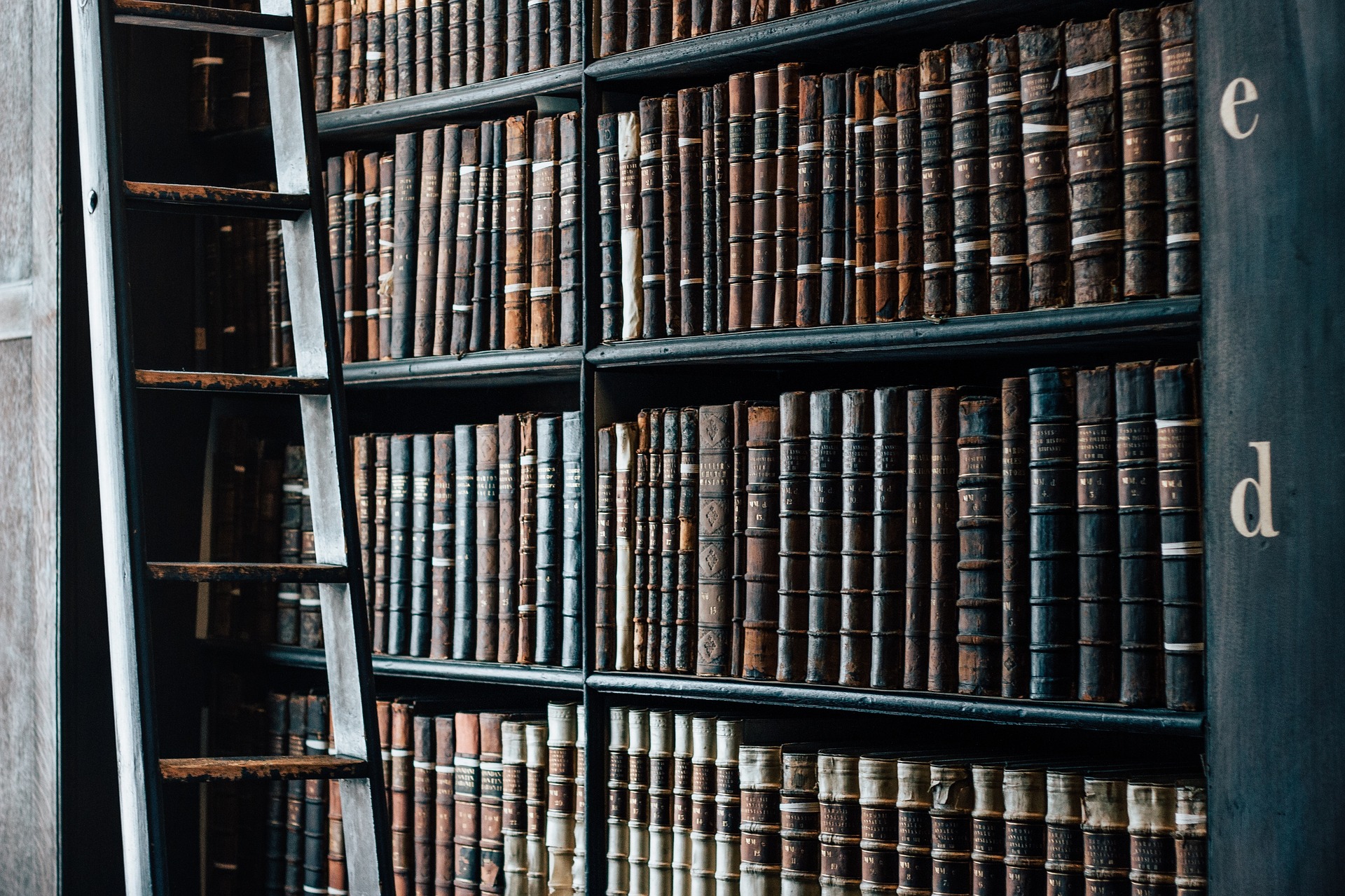 A Year’s Worth of Reading
