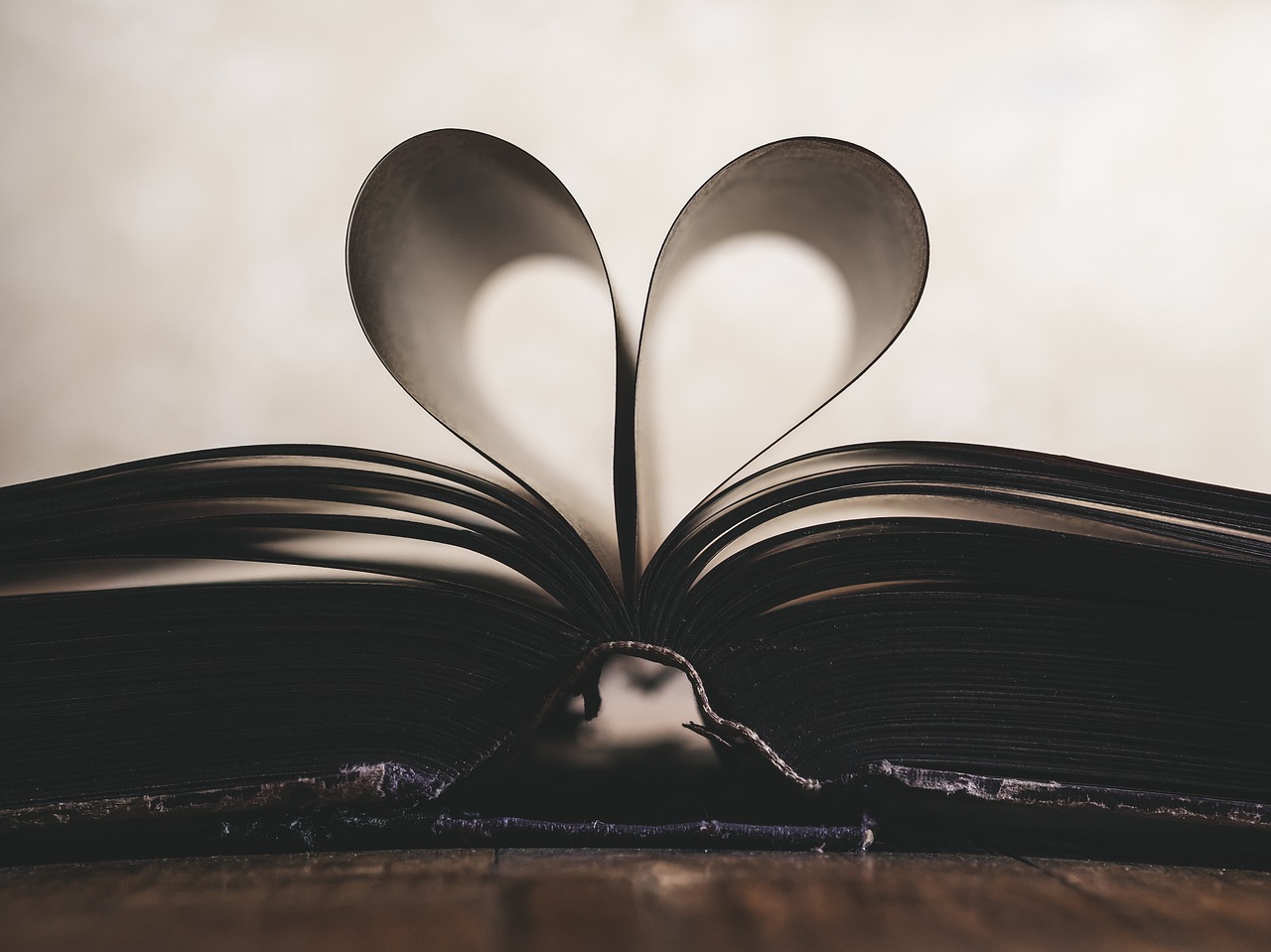 A Year of Reading: 2017