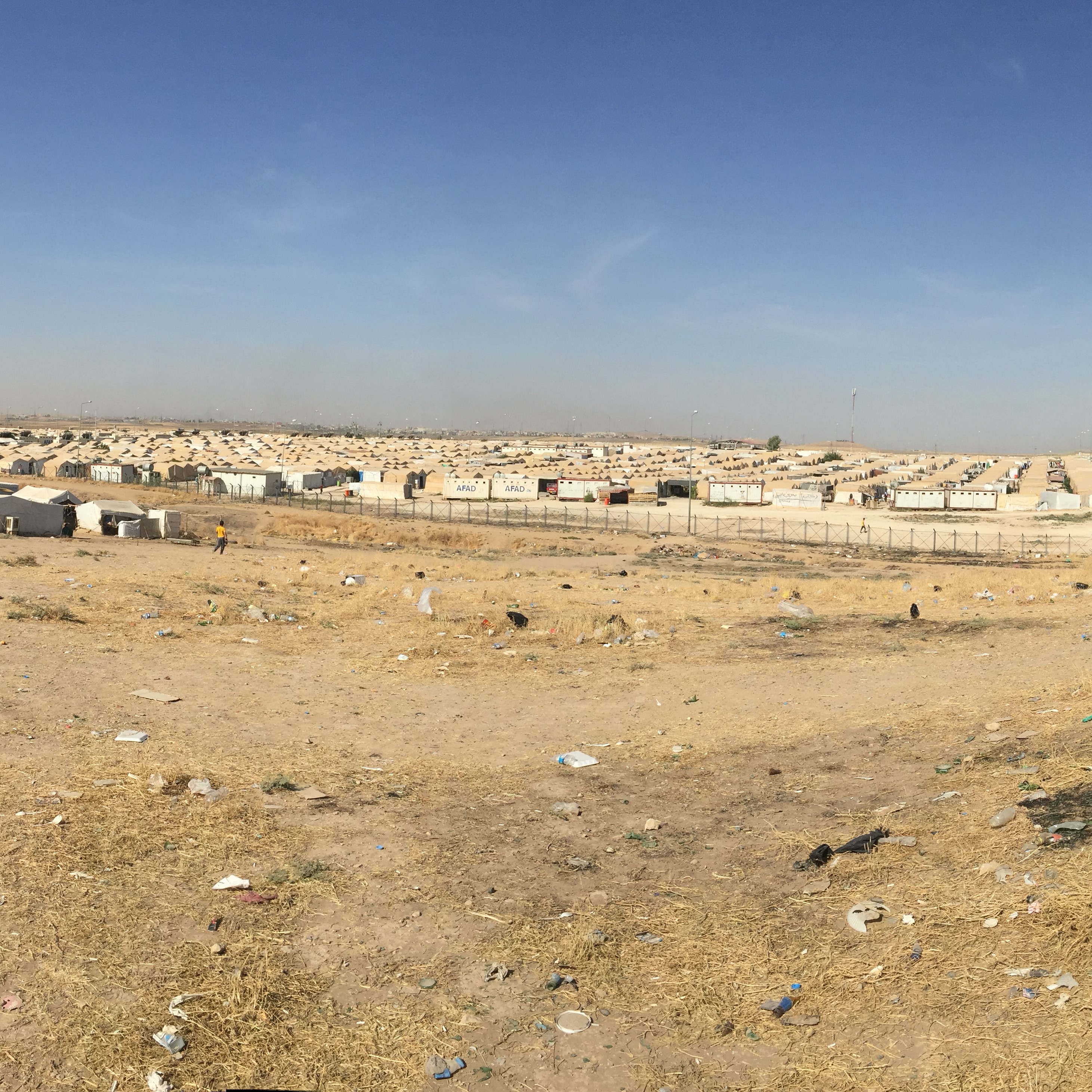 Pretending or Pretentious: Wise Wrestling with an Issue from Iraq